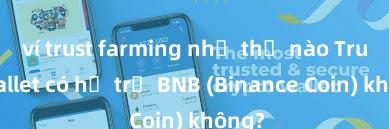 ví trust farming như thế nào Trust Wallet có hỗ trợ BNB (Binance Coin) không?